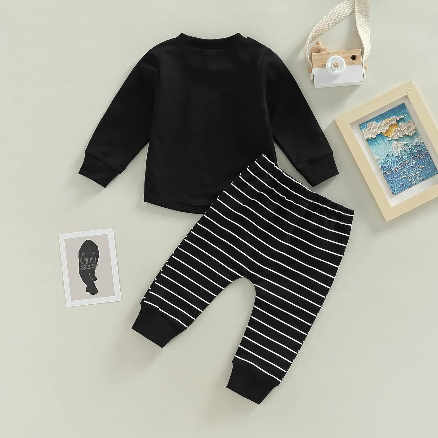 Boy Long Sleeve Sweatshirt Pants Set