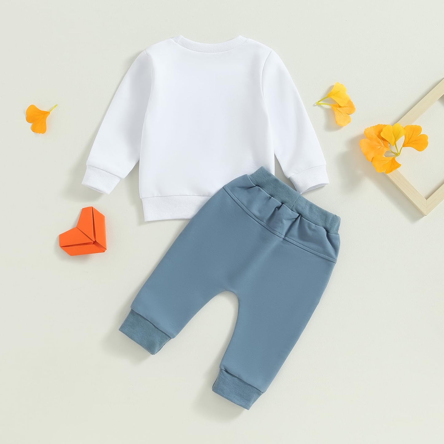 Boy Long Sleeve Sweatshirt Pants Set