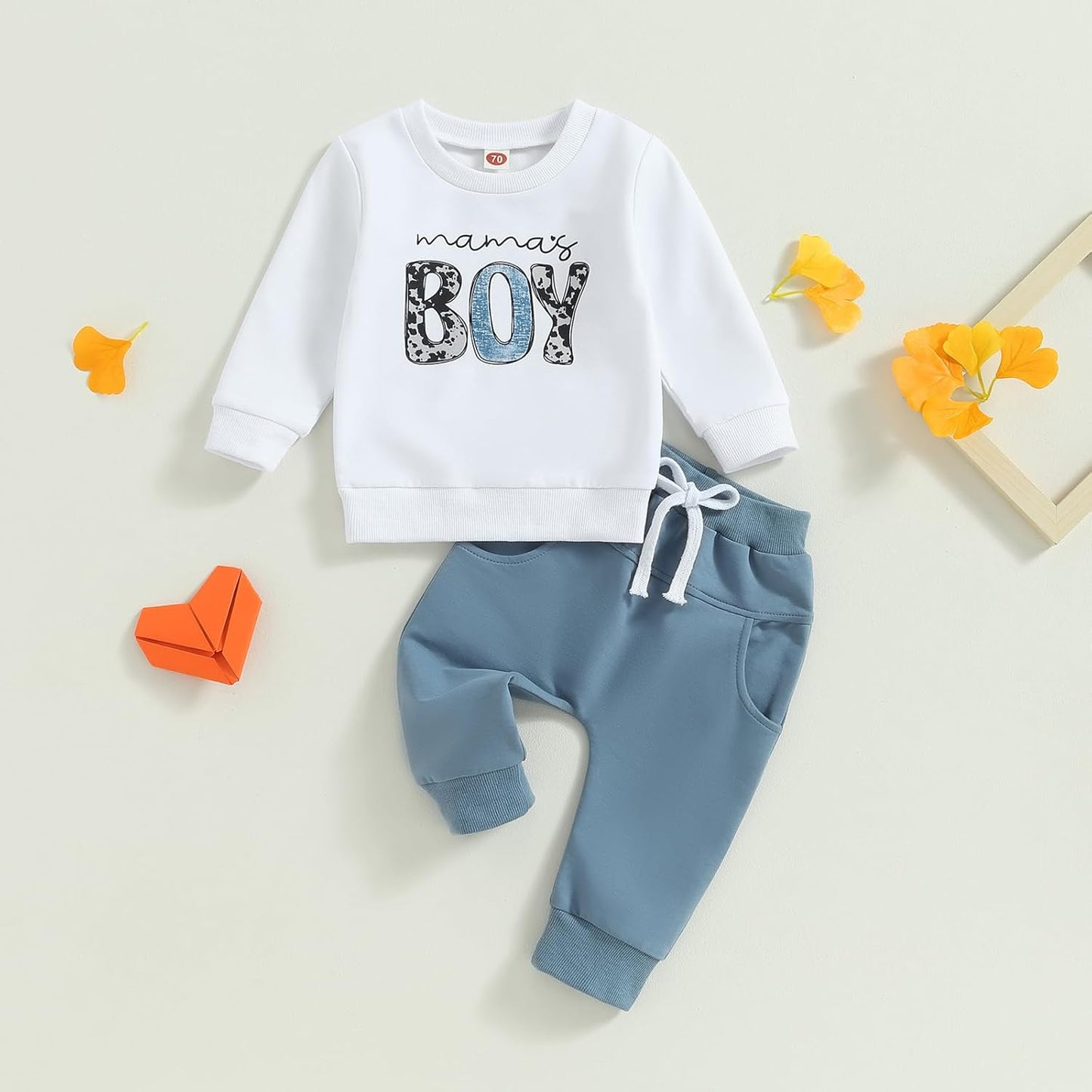 Boy Long Sleeve Sweatshirt Pants Set