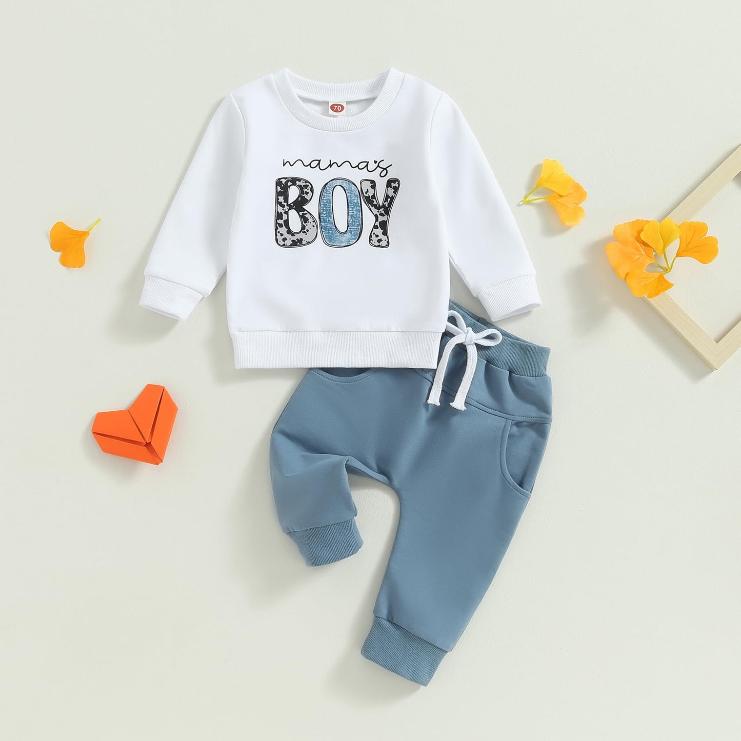 Boy Long Sleeve Sweatshirt Pants Set